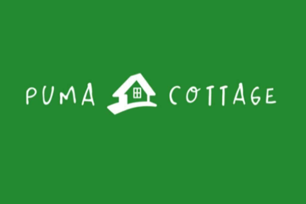 Puma Cottage Horcón Kültér fotó