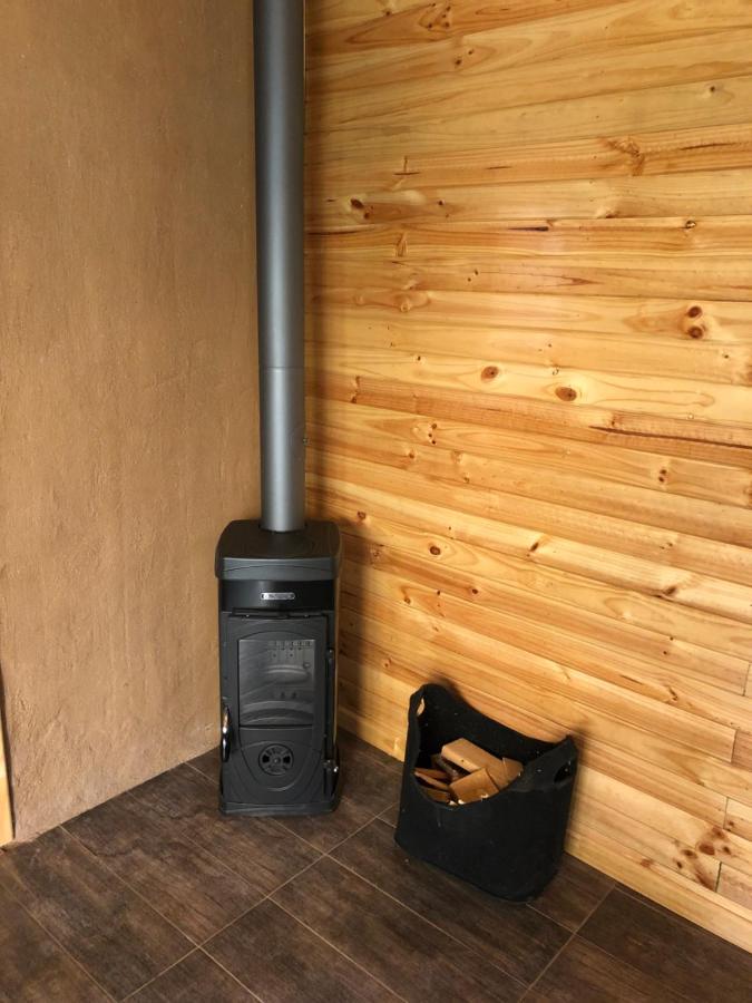 Puma Cottage Horcón Kültér fotó
