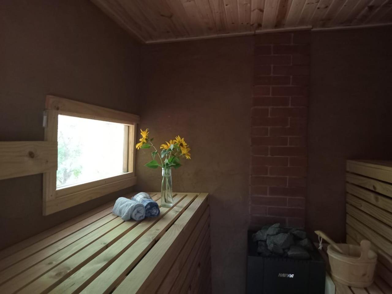 Puma Cottage Horcón Kültér fotó
