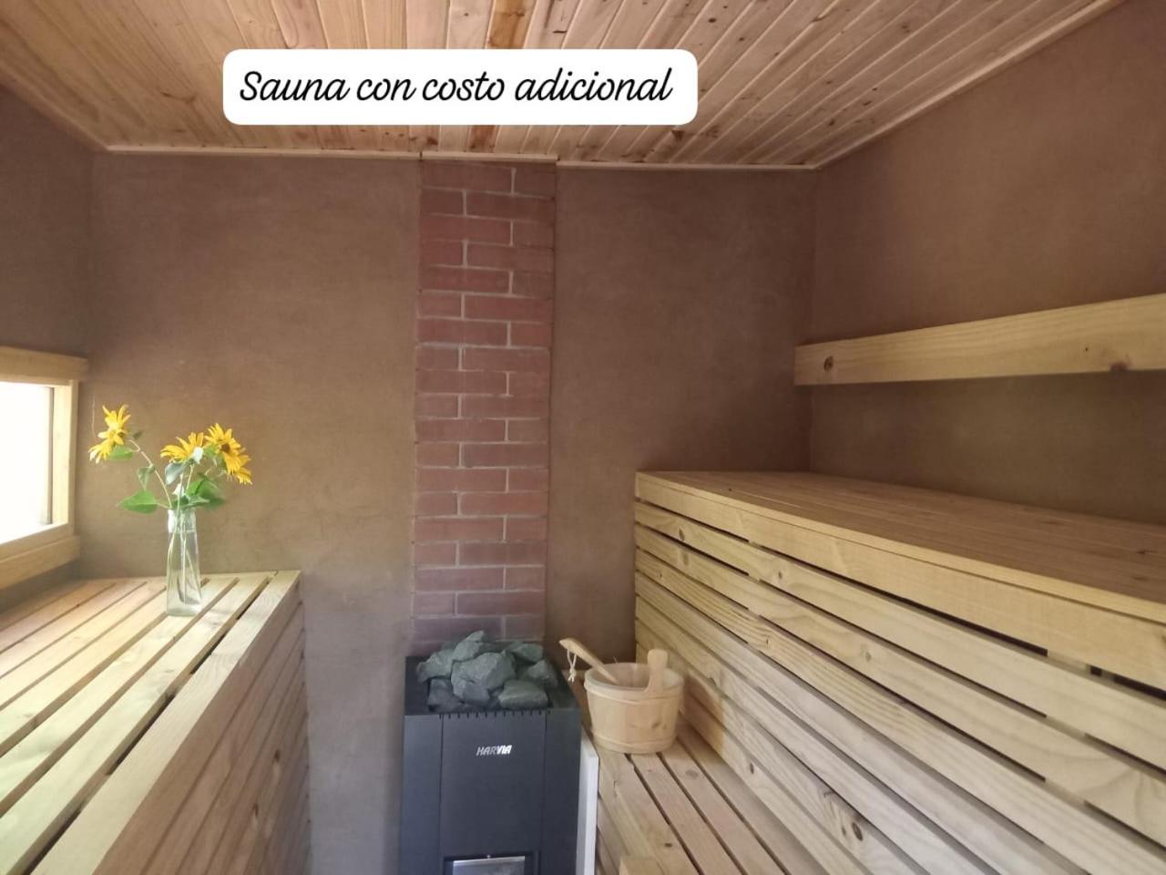 Puma Cottage Horcón Kültér fotó